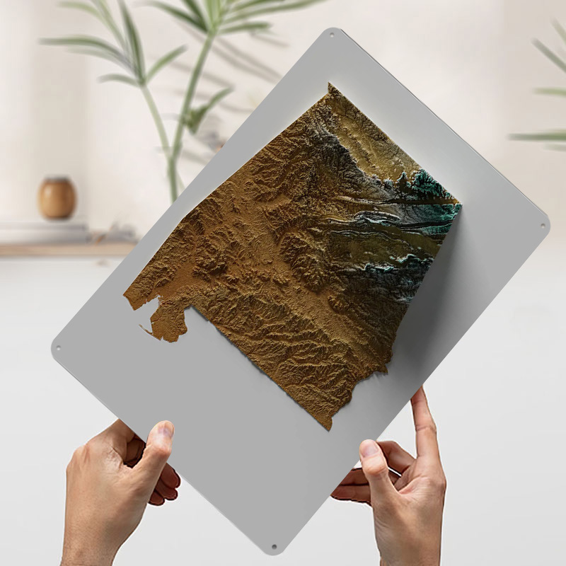 Alabama Topographic Map Metal  - Custom Map Poster recensie en prijs
