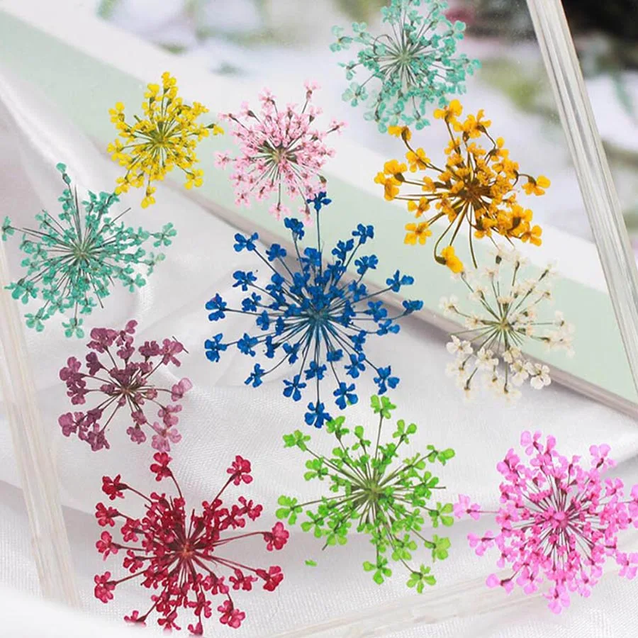 60pcs Pressed Dried 20-25mm Am - Dried Flower Bookmark recensie en prijs