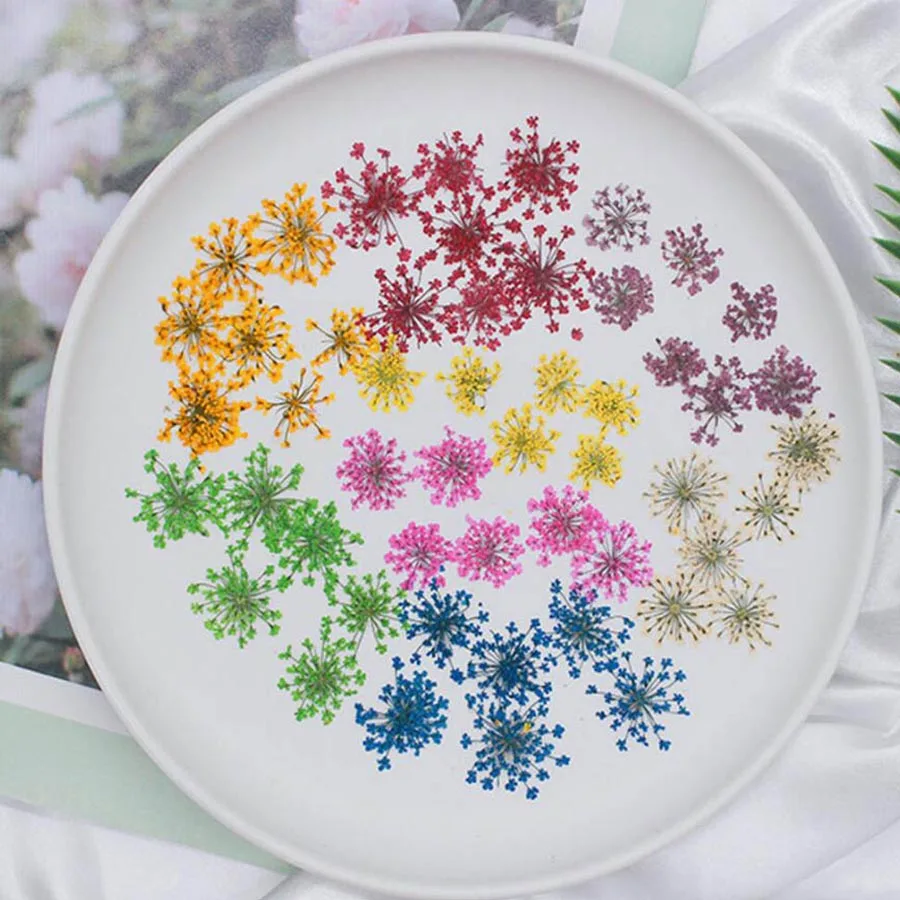 60pcs Pressed Dried 20-25mm Am - Dried Flower Bookmark recensie en prijs