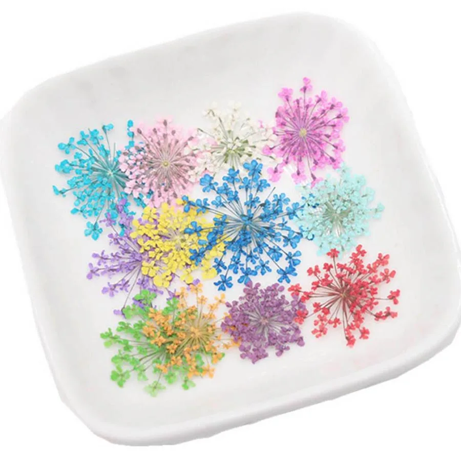 60pcs Pressed Dried 20-25mm Am - Dried Flower Bookmark recensie en prijs