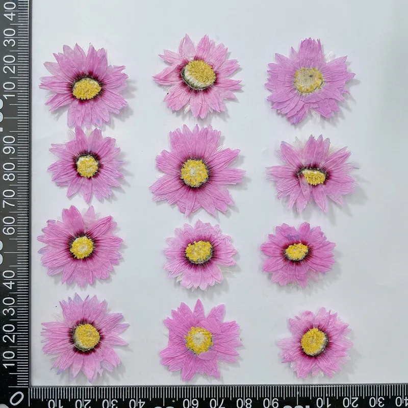 24pcs/2-4CM,Natural Pressed Fl - Dried Flower Bookmark recensie en prijs