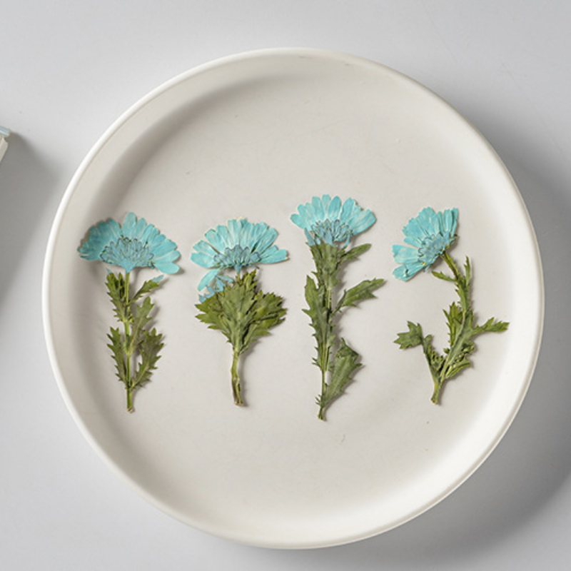5-8cm/24pcs,Side pressed cryst - Dried Flower Bookmark recensie en prijs